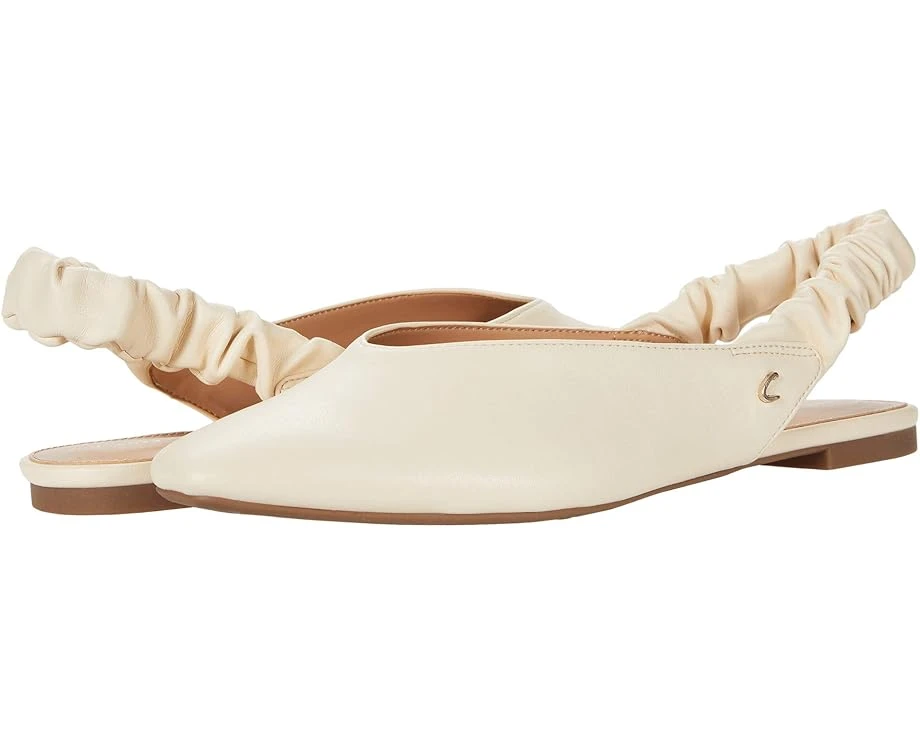 Circus NY Omina 1 Circus NY Omina